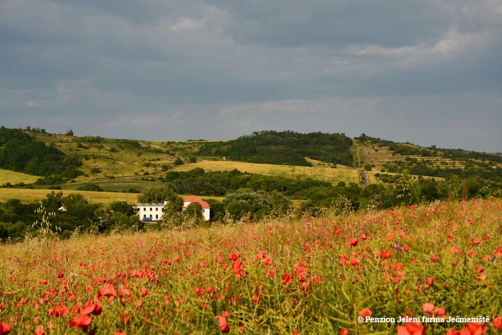Jeleni Farma Jecmeniste Hotel Vrbovec Zewnętrze zdjęcie